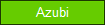 Azubi